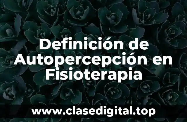 Definición de Autopercepción en Fisioterapia