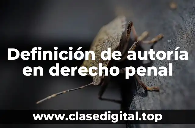 Definición de autoría en derecho penal