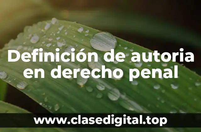 Definición técnica de autoria en derecho penal