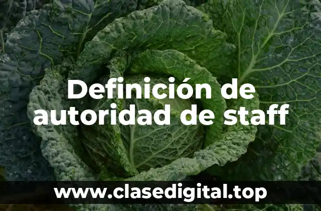 Ejemplos de autoridad de staff