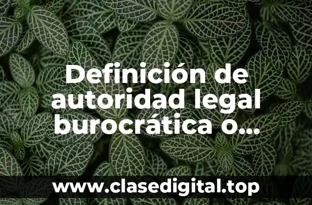 Definición de autoridad legal burocrática o racional