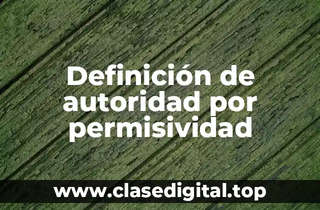 Definición de autoridad por permisividad