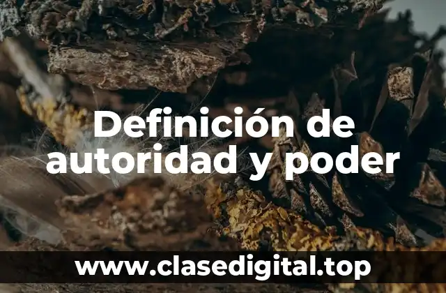 Definición de autoridad y poder