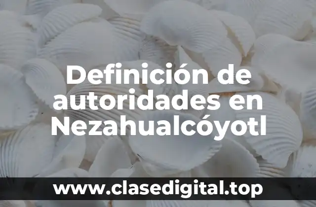Definición de autoridades en Nezahualcóyotl