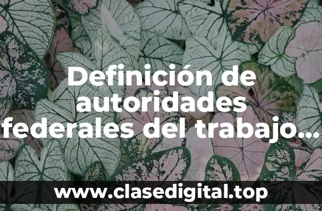 Definición de autoridades federales del trabajo en Veracruz