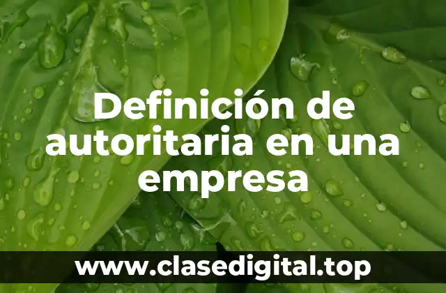 Ejemplos de autoritaria en una empresa