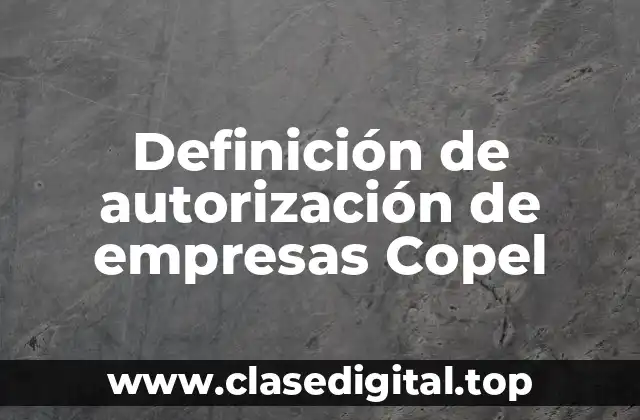 Definición de autorización de empresas Copel