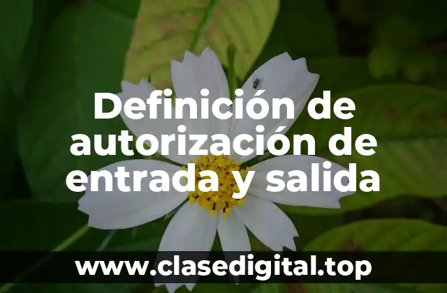 Definición de autorización de entrada y salida