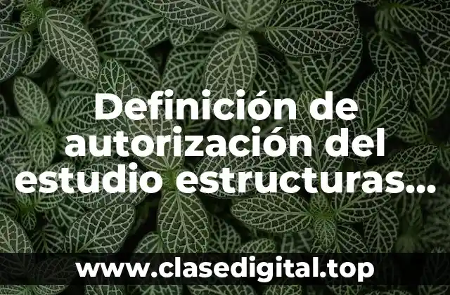 Definición de autorización del estudio estructuras organizacionales