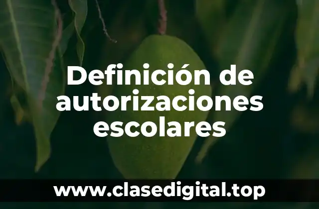 Definición de autorizaciones escolares