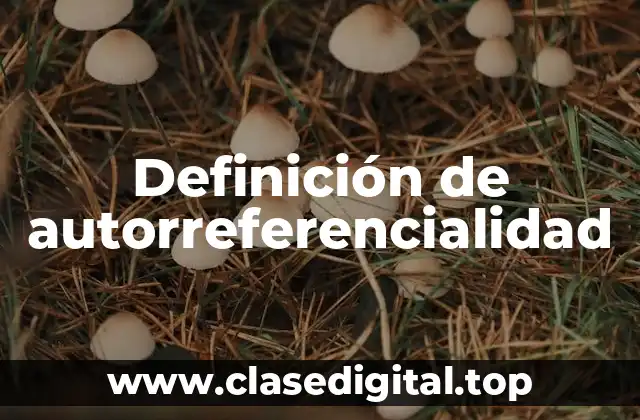 Definición de autorreferencialidad