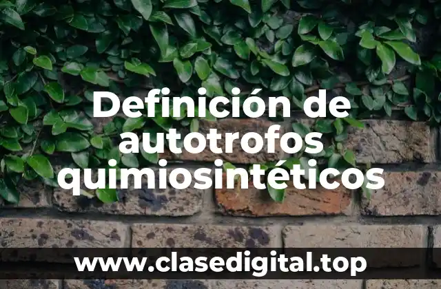 Definición de autotrofos quimiosintéticos