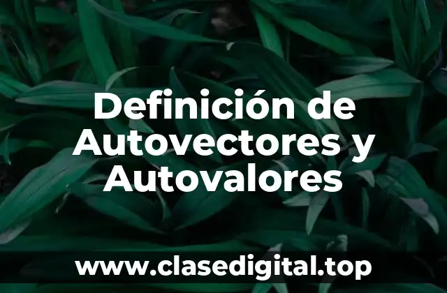 Definición de Autovectores y Autovalores