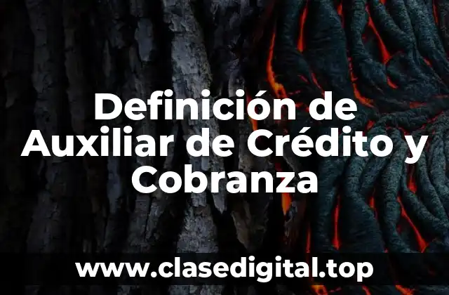 Definición de Auxiliar de Crédito y Cobranza