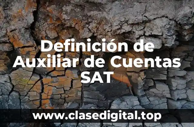 Definición de Auxiliar de Cuentas SAT