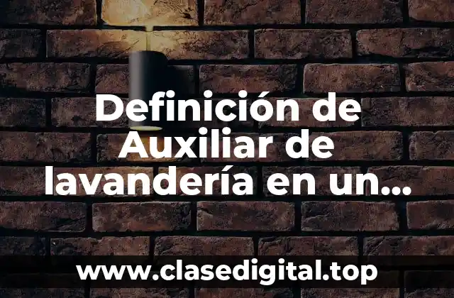 Definición de Auxiliar de lavandería en un hotel