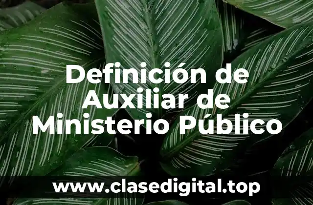 Definición técnica de Auxiliar de Ministerio Público