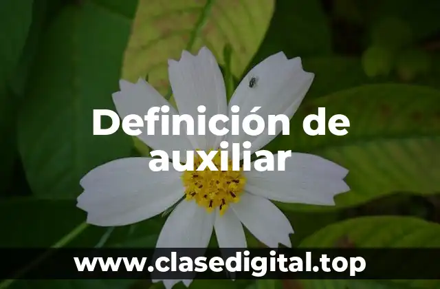 Definición técnica de auxiliar