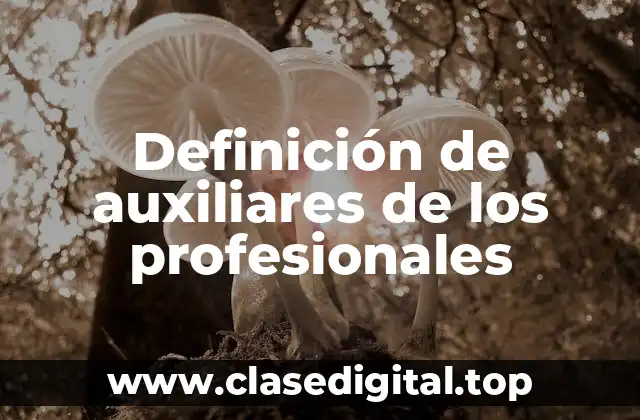 Definición de auxiliares de los profesionales