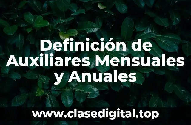 Definición de Auxiliares Mensuales y Anuales