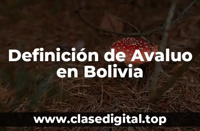 Definición de Avaluo en Bolivia