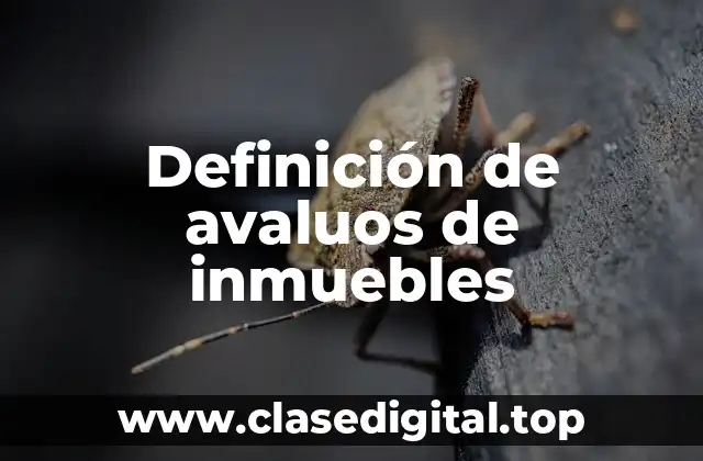 Definición de avaluos de inmuebles