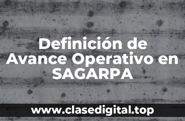 Definición técnica de Avance Operativo en SAGARPA