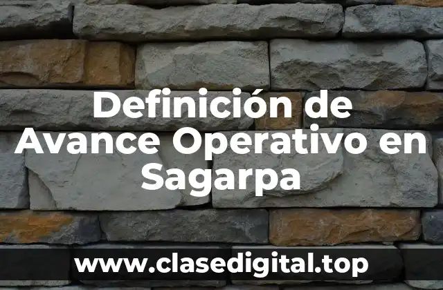 Definición técnica de Avance Operativo en Sagarpa