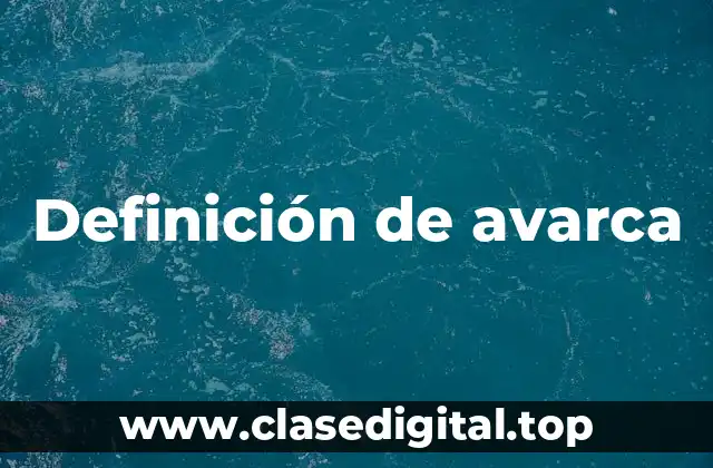 Definición de avarca