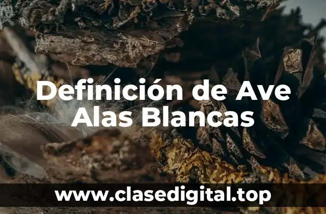 Definición de Ave Alas Blancas