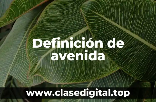 Definición de avenida