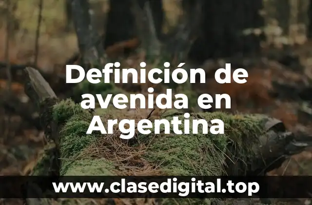 Definición de avenida en Argentina