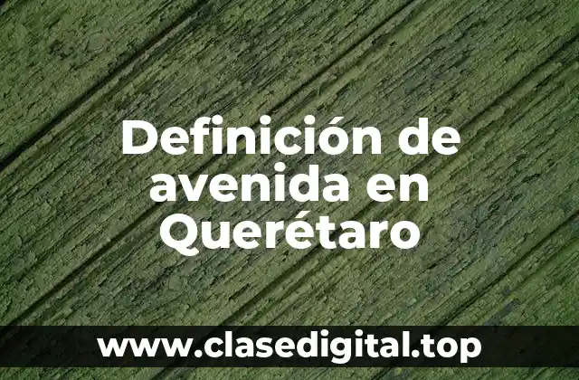 Definición de avenida en Querétaro