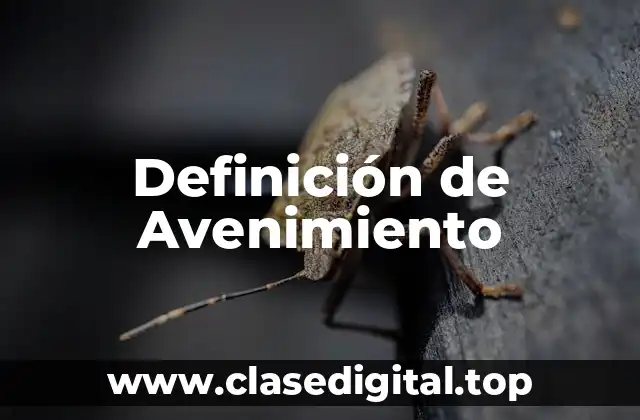 Definición Técnica de Avenimiento