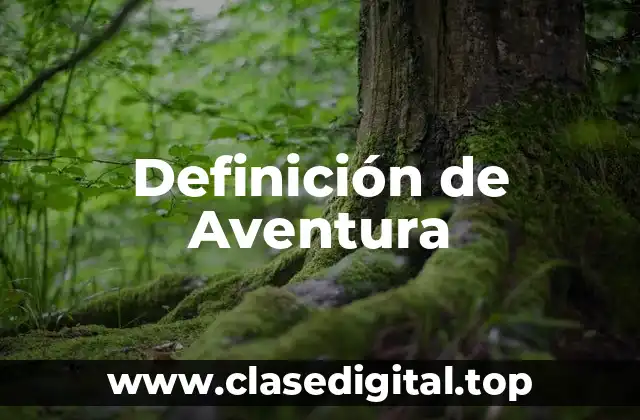 Definición de Aventura