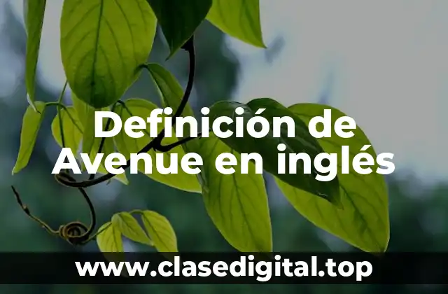 Definición de Avenue en inglés