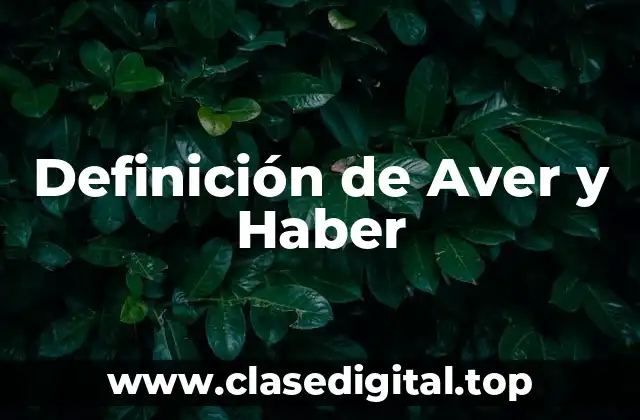 Definición técnica de Aver y Haber