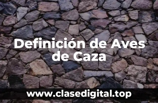 Definición de Aves de Caza