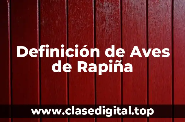 Definición de Aves de Rapiña