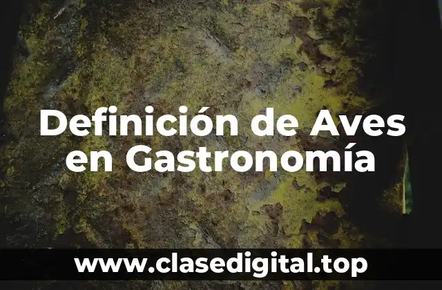 Definición de Aves en Gastronomía