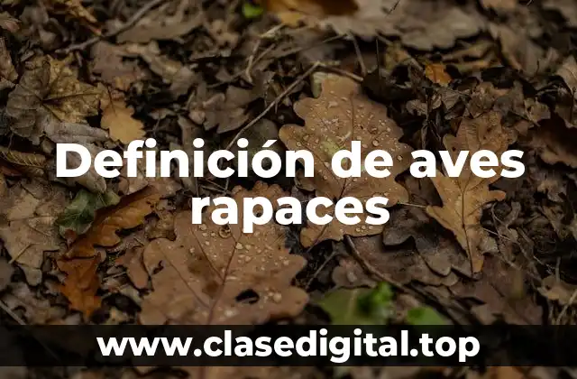 Definición de aves rapaces