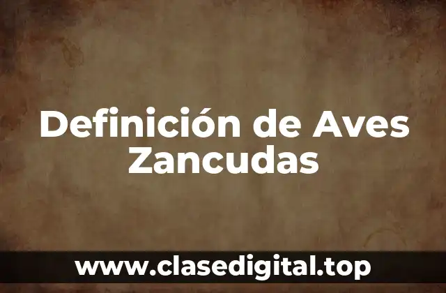 Definición de Aves Zancudas