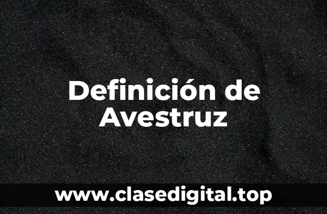 Definición de Avestruz