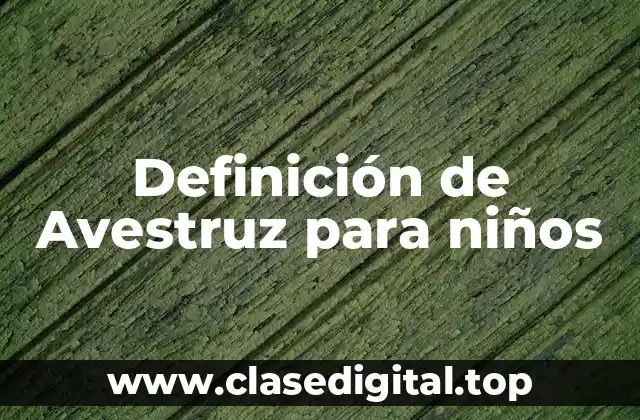 Definición de Avestruz para niños