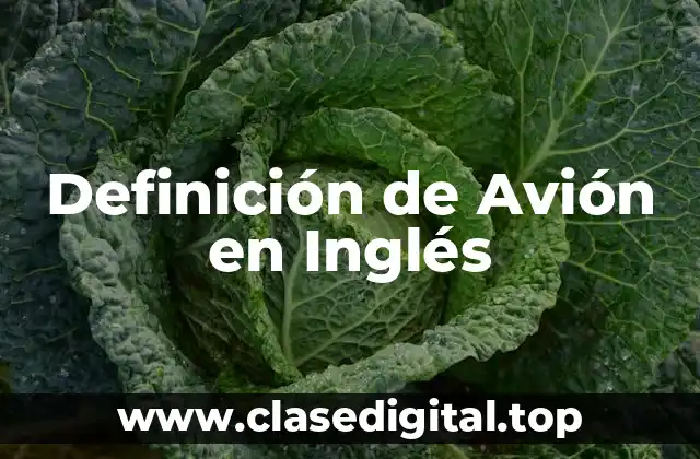 Definición de Avión en Inglés