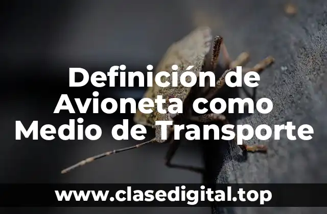 Definición de Avioneta como Medio de Transporte