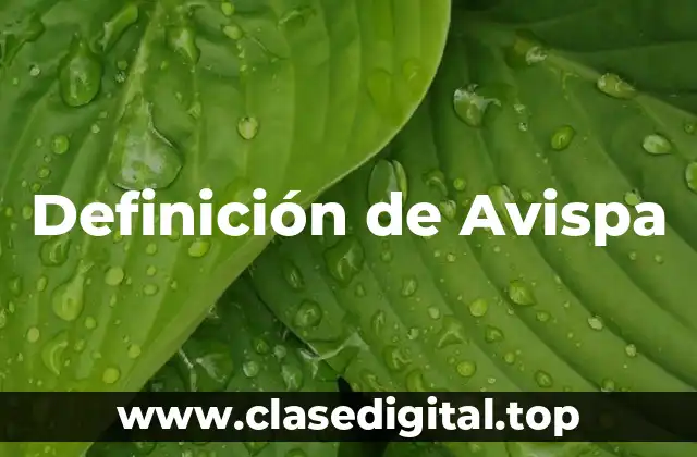 Definición de Avispa