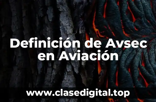 Definición de Avsec en Aviación