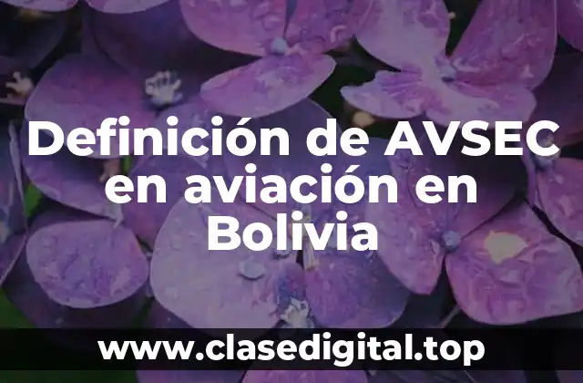Definición de AVSEC en aviación en Bolivia