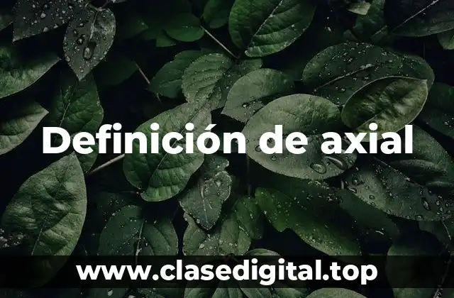 Definición de axial